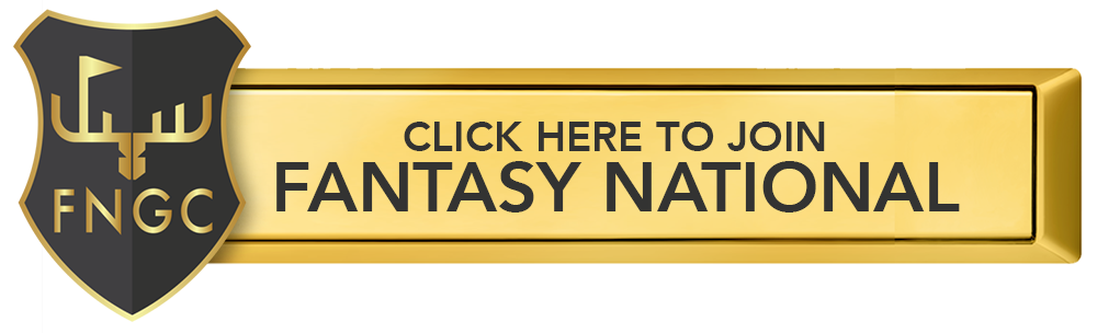 fantasy national logo